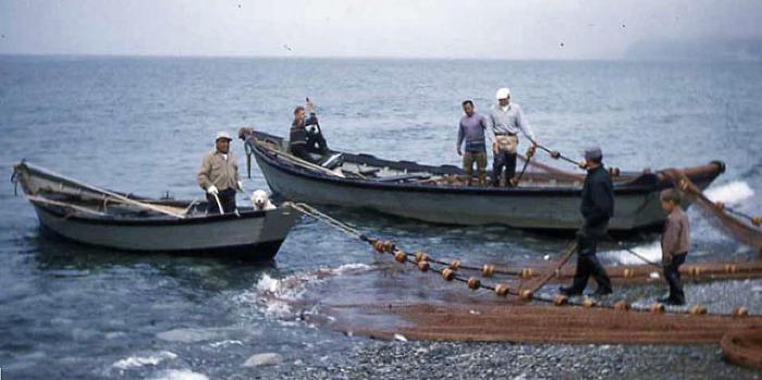 Skiff