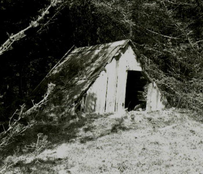 Shed