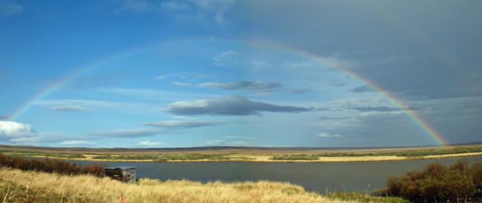 Rainbow
