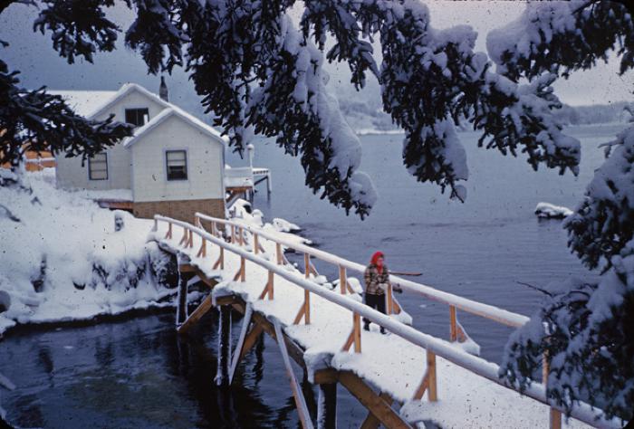 Winter