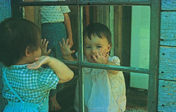 Window
