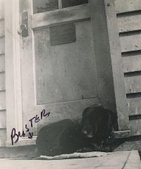 Tuberculosis