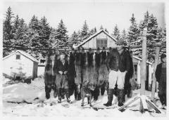 Fox Farm