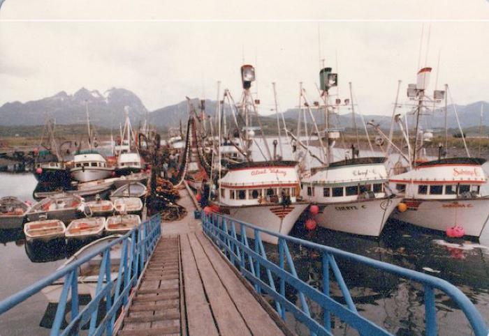 Harbor