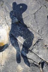 Shadow
