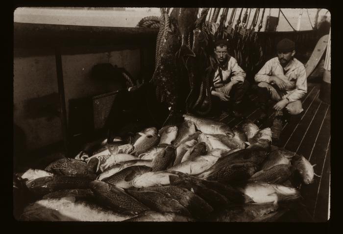 Salt Fish
