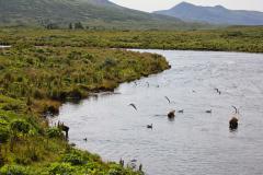 Frazer Lake