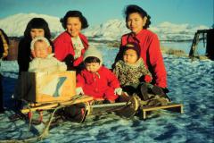 Sled