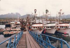 Harbor