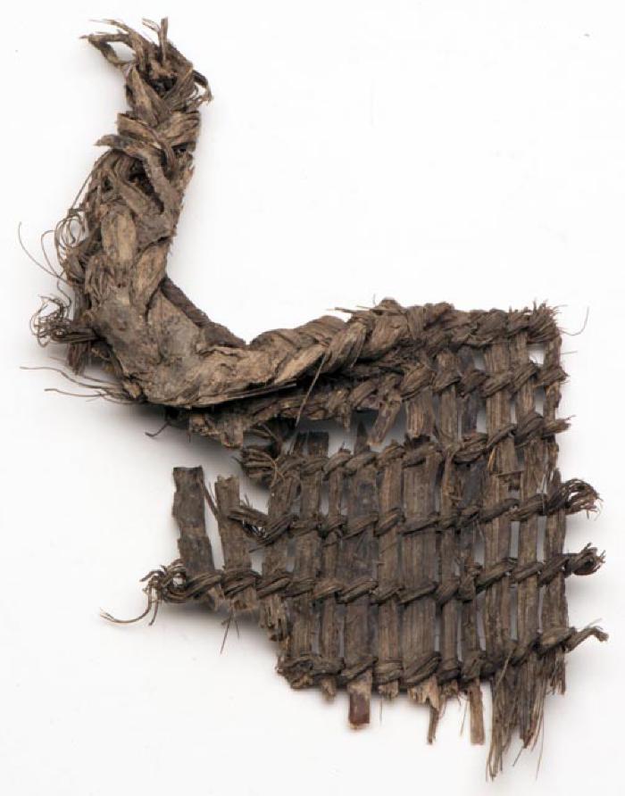 Baleen