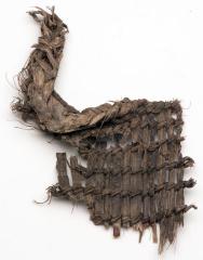 Baleen
