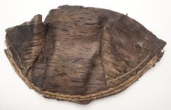 Birch Bark