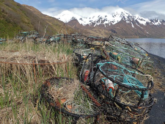 Crab Pot