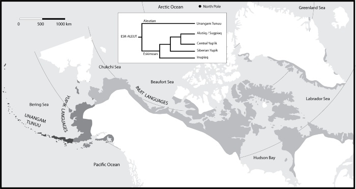 Aleutian Islander, Unangax̂