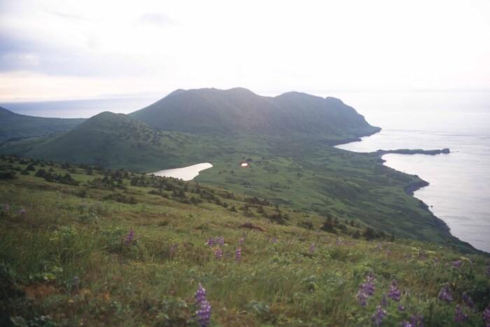 Uganik Island