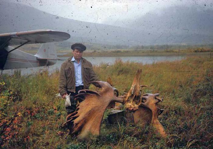 Antler