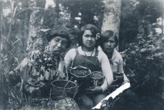 Berry Picking