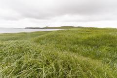 Aiaktalik Island