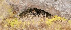 Cave