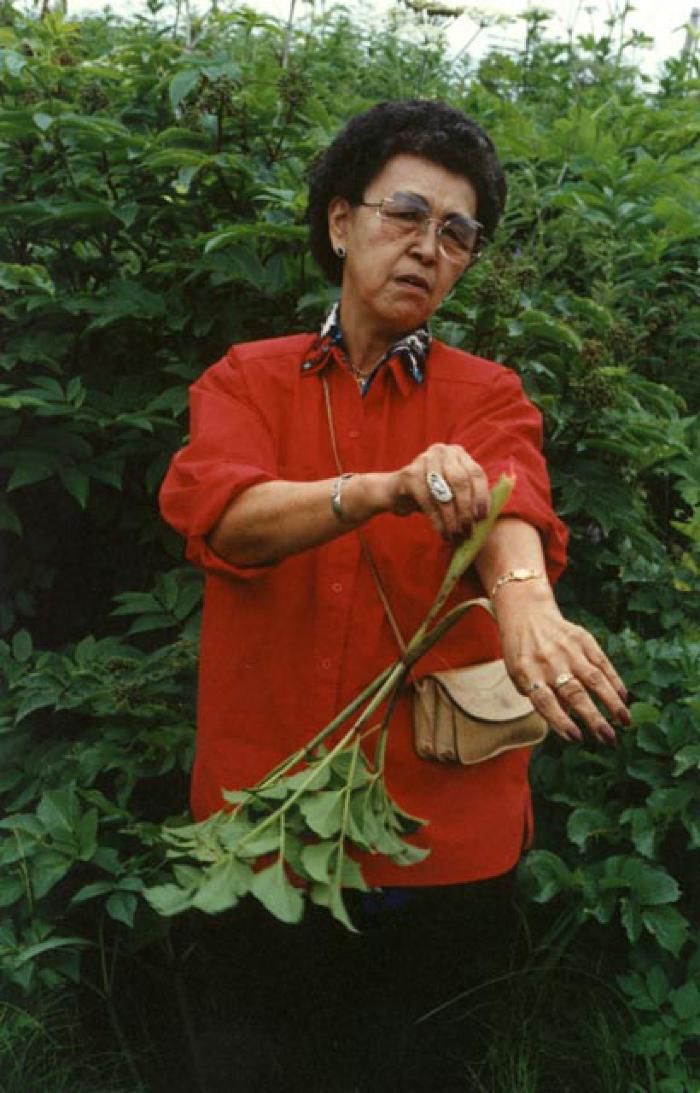 Angelica