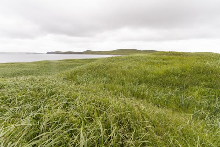 Aiaktalik Island