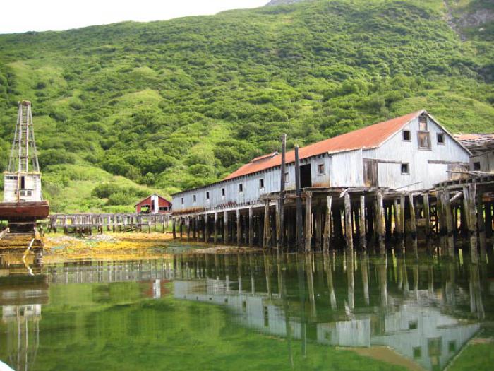 Cannery