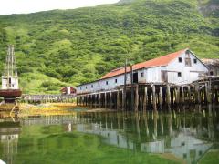 Cannery