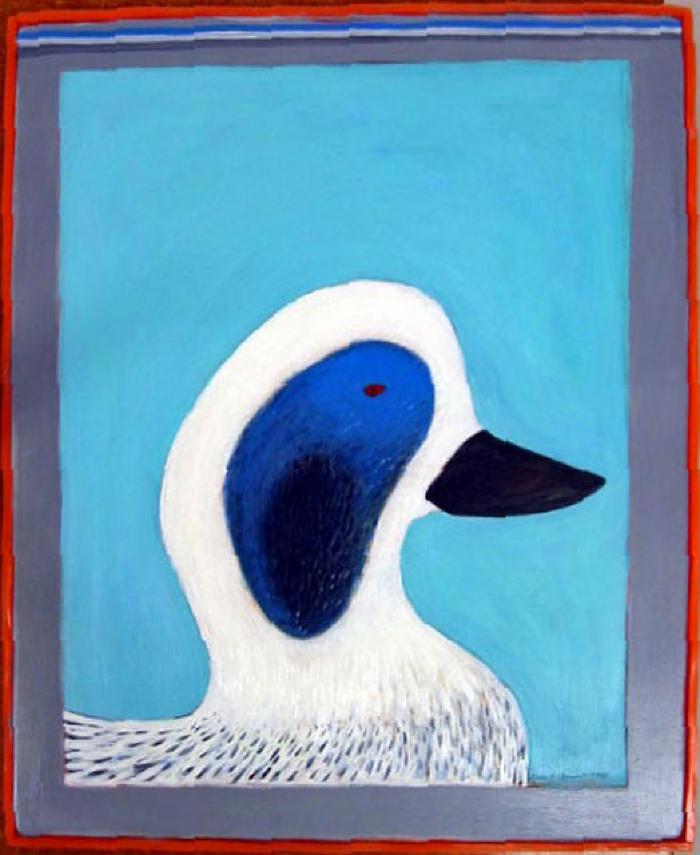 Ducks