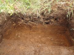 Dirt