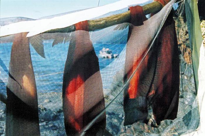 Dry Fish