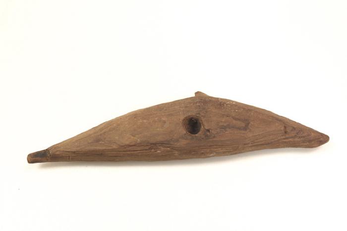Dolphin, Porpoise