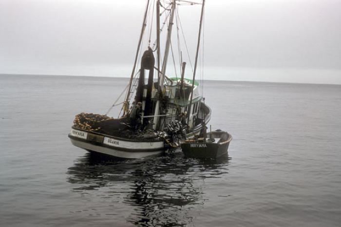 Fishing Boat