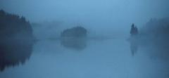 Fog