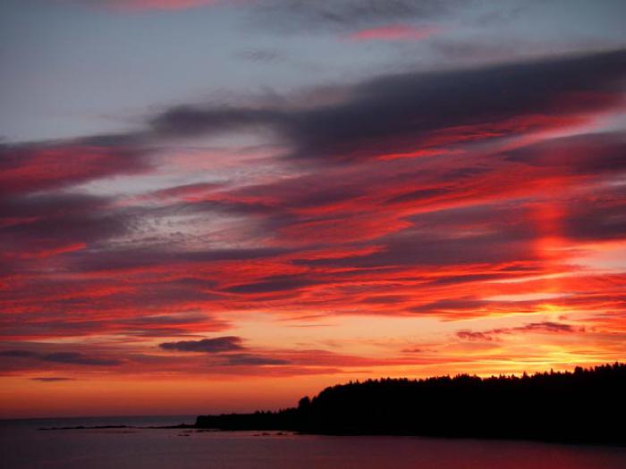 Dawn