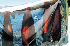 Dry Fish