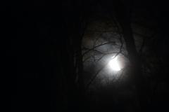 Eclipse