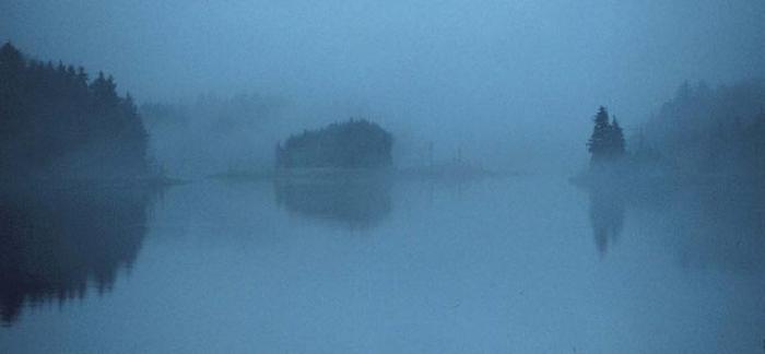 Fog