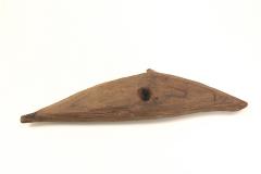 Dolphin, Porpoise