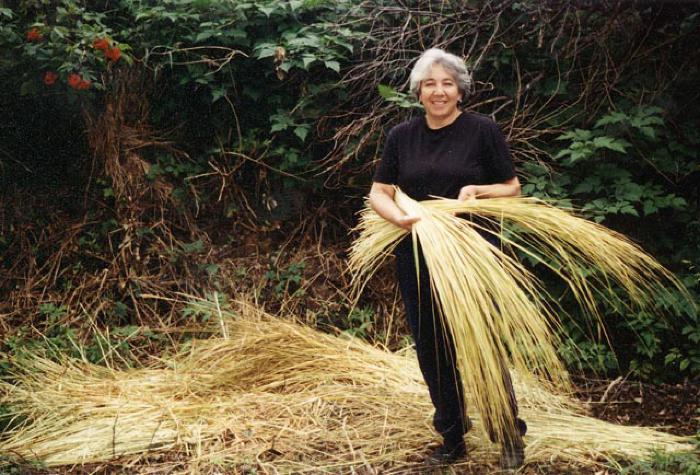 Grasses