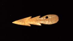 Harpoon