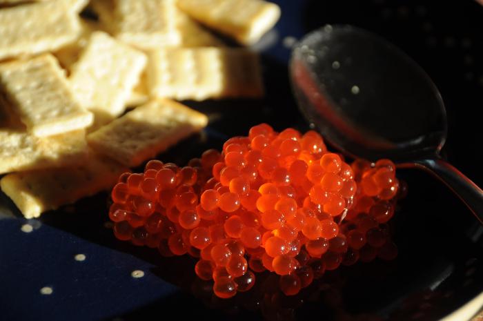 Fish Eggs