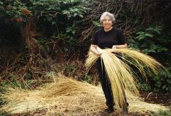Grasses