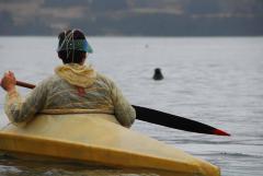 Kayak