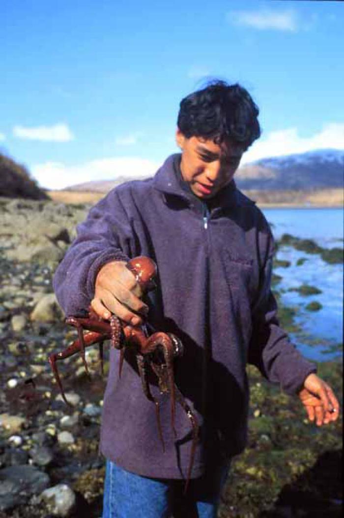 Octopus