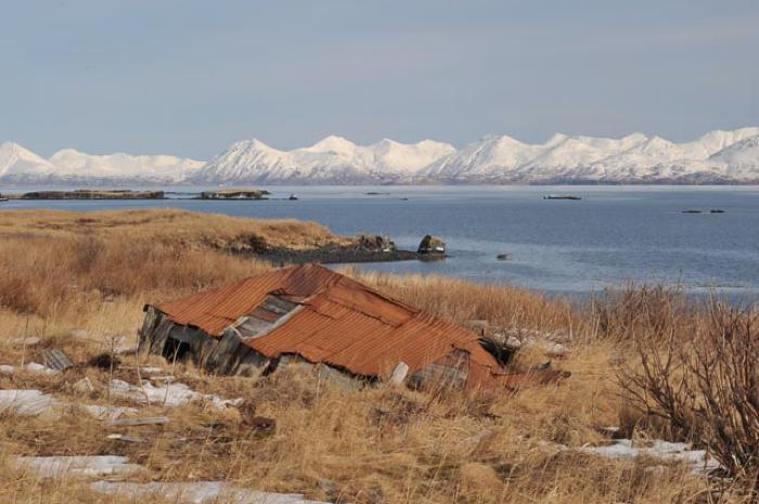 House, Cabin