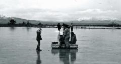 Ice Skate