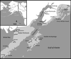 Kenai Peninsula Person