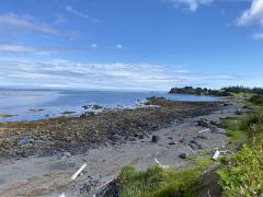 Low Tide