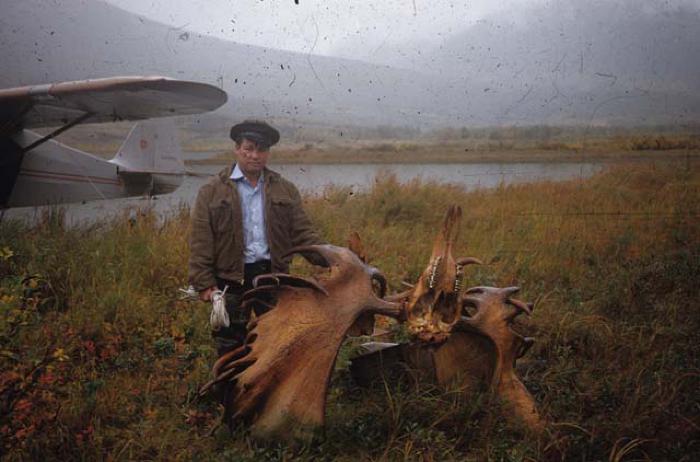 Moose