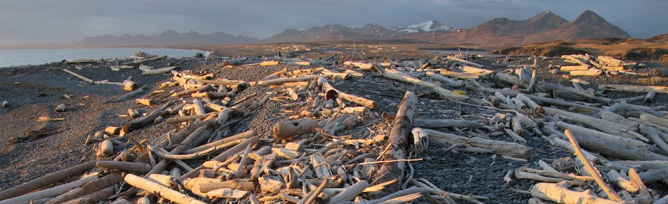 two small carvings of ducks.